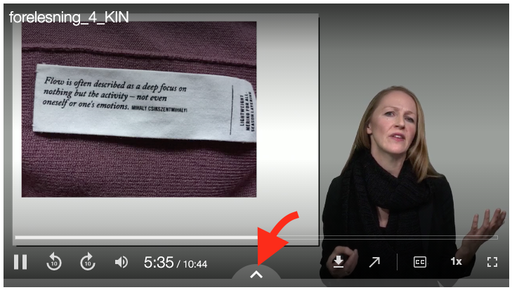 Søkevindu enkeltvideo
